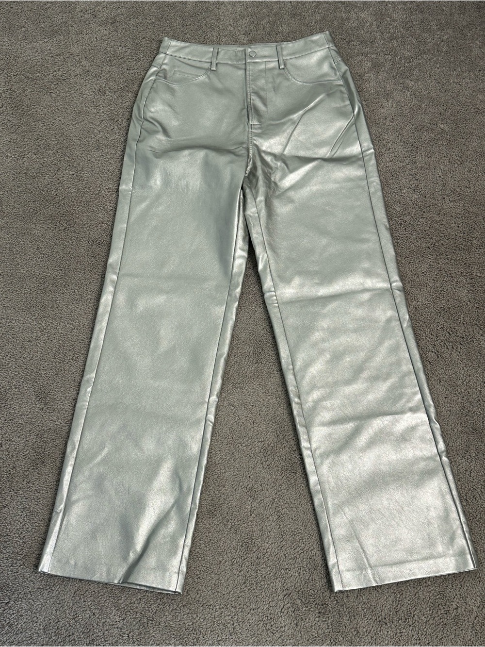 WAYF Metallic Silver Faux Leather Pants